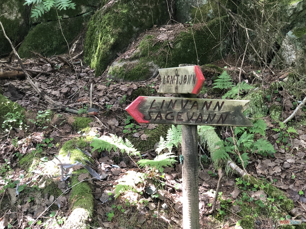 Vi kom fra Lomtjønn og skal passere Linvann.