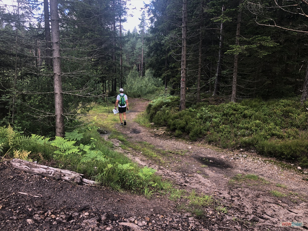 Videre fulgte vi en del skogsveier med kartet i hånden!