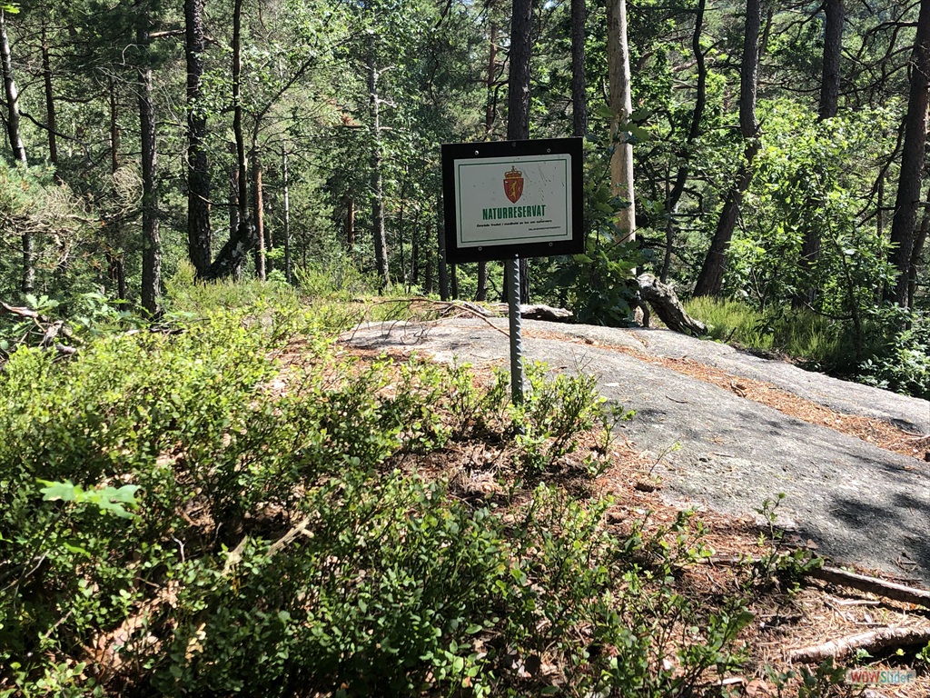 Vi kommer nå inn i Skråstaheia Naturreservat.