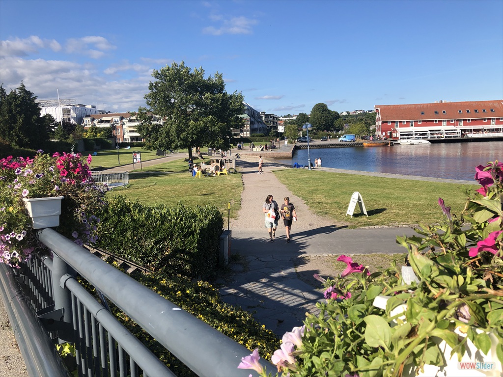 ....og vi er tilbake i urbane strøk......  etter en kjempeflott tur på 4-5 timer i Skråstadheia!!!