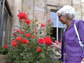 Rote Rosen....   
Kirsten betrakter røde roser ved inngangen til hotellet.