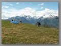 Hang Gliding....   
Joda, en ekstremsporter var igang med å prøve og komme opp i luften...
