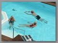 Schwimmen, schwimmen....   
